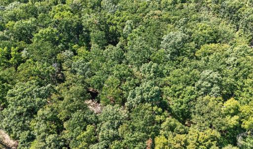 Photo #17 of Lot 8 Mud Street, Concord, VA 5.0 acres