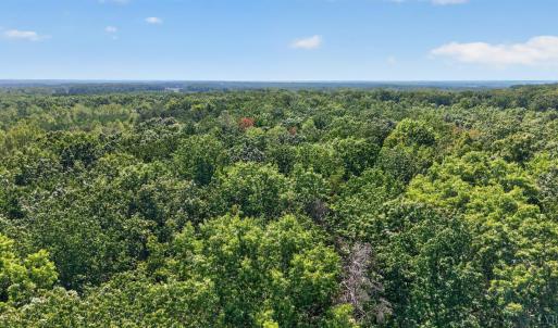 Photo #19 of Lot 8 Mud Street, Concord, VA 5.0 acres