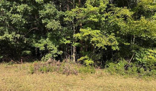 Photo #7 of Oakville Road, Gladstone, VA 17.4 acres