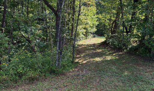 Photo #1 of Oakville Road, Gladstone, VA 17.4 acres