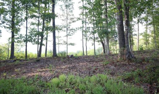 Photo #12 of Puppy Creek Road, Amherst, VA 129.1 acres