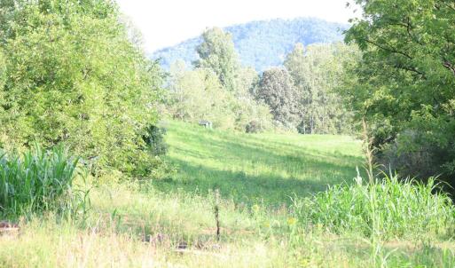 Photo #3 of Puppy Creek Road, Amherst, VA 129.1 acres