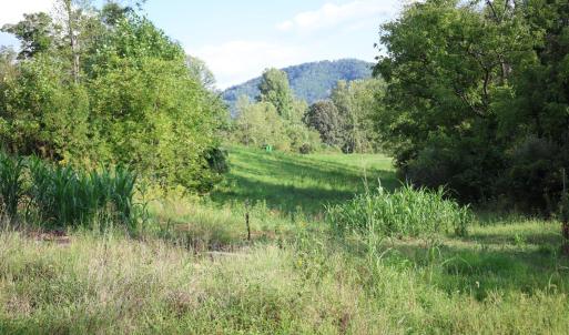 Photo #16 of Puppy Creek Road, Amherst, VA 129.1 acres