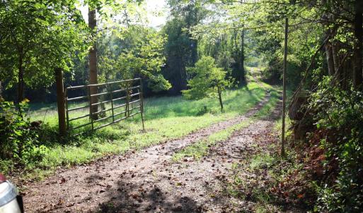 Photo #6 of Puppy Creek Road, Amherst, VA 129.1 acres