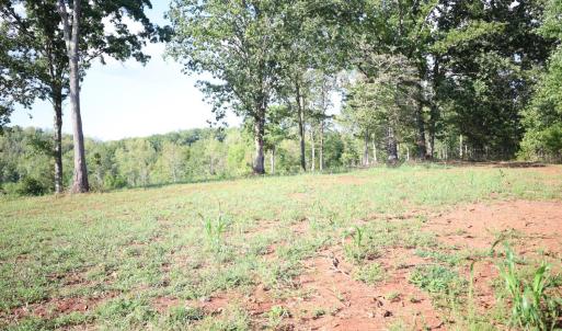 Photo #7 of Puppy Creek Road, Amherst, VA 129.1 acres