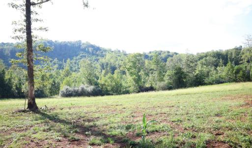 Photo #5 of Puppy Creek Road, Amherst, VA 129.1 acres
