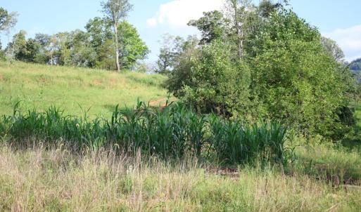 Photo #15 of Puppy Creek Road, Amherst, VA 129.1 acres