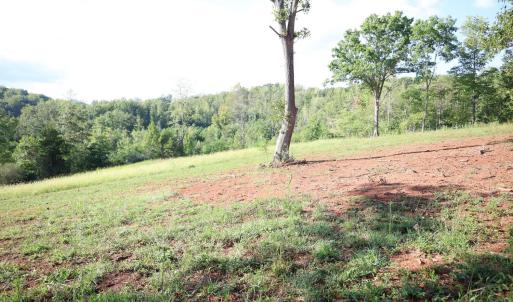Photo #11 of Puppy Creek Road, Amherst, VA 129.1 acres