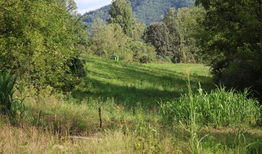 Photo #2 of Puppy Creek Road, Amherst, VA 129.1 acres