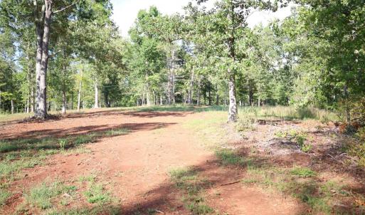 Photo #8 of Puppy Creek Road, Amherst, VA 129.1 acres
