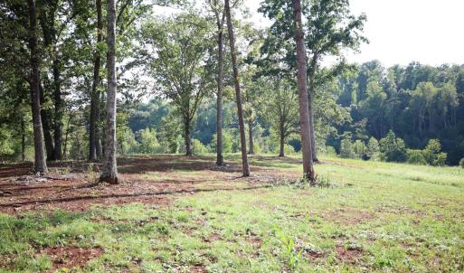Photo #10 of Puppy Creek Road, Amherst, VA 129.1 acres