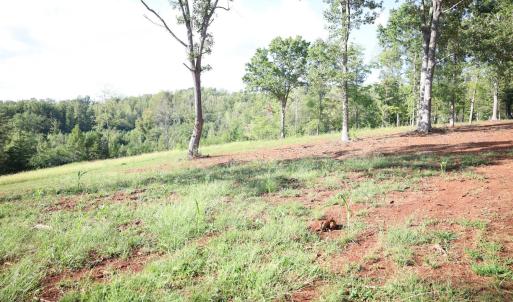 Photo #9 of Puppy Creek Road, Amherst, VA 129.1 acres