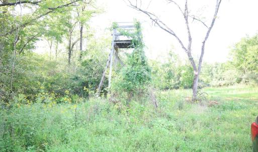Photo #18 of Puppy Creek Road, Amherst, VA 129.1 acres