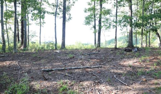 Photo #13 of Puppy Creek Road, Amherst, VA 129.1 acres