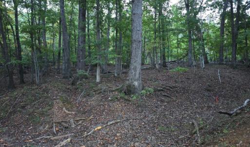 Photo #1 of Pilot Mountain Road, Moneta, VA 17.4 acres