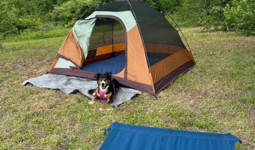 Photo #59 of 9999 Randolph Creek Road, New Canton, VA 60.0 acres