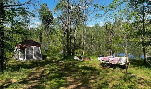 Photo #45 of 9999 Randolph Creek Road, New Canton, VA 60.0 acres