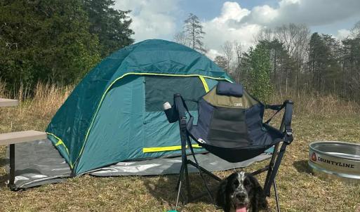Photo #55 of 9999 Randolph Creek Road, New Canton, VA 60.0 acres