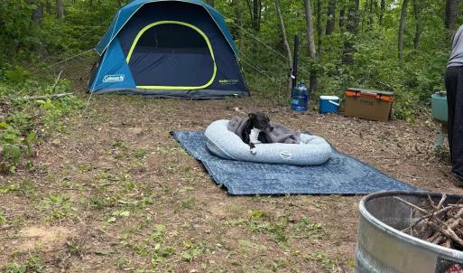 Photo #38 of 9999 Randolph Creek Road, New Canton, VA 60.0 acres