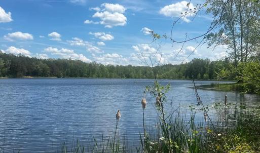Photo #20 of 9999 Randolph Creek Road, New Canton, VA 60.0 acres