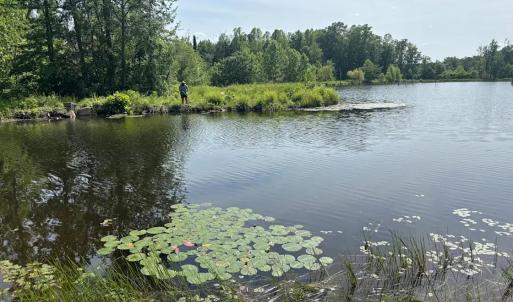 Photo #28 of 9999 Randolph Creek Road, New Canton, VA 60.0 acres