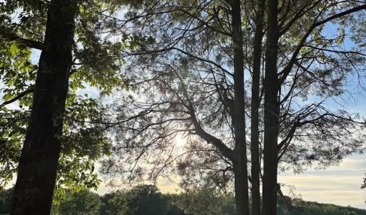 Photo #27 of 9999 Randolph Creek Road, New Canton, VA 60.0 acres