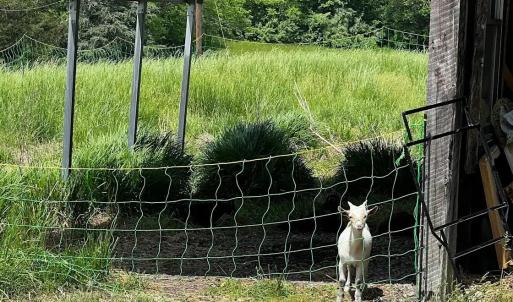 Photo #73 of 9999 Randolph Creek Road, New Canton, VA 60.0 acres