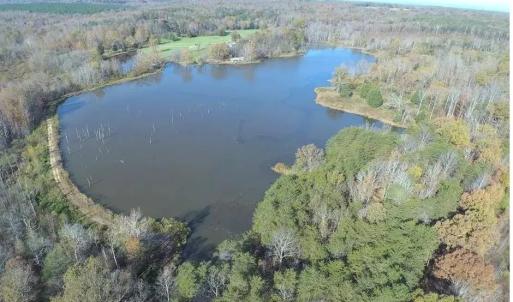 Photo #81 of 9999 Randolph Creek Road, New Canton, VA 60.0 acres