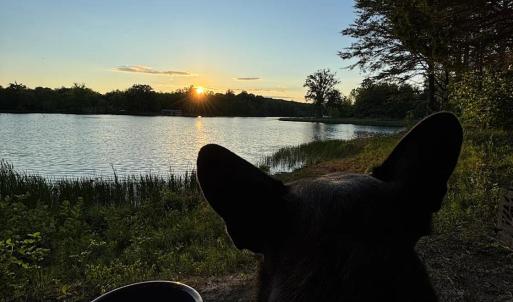 Photo #51 of 9999 Randolph Creek Road, New Canton, VA 60.0 acres