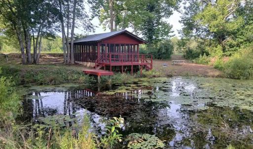 Photo #71 of 9999 Randolph Creek Road, New Canton, VA 60.0 acres