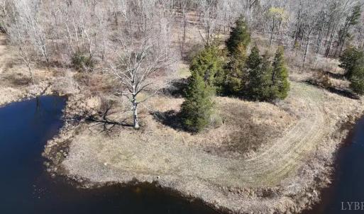 Photo #13 of 9999 Randolph Creek Road, New Canton, VA 60.0 acres