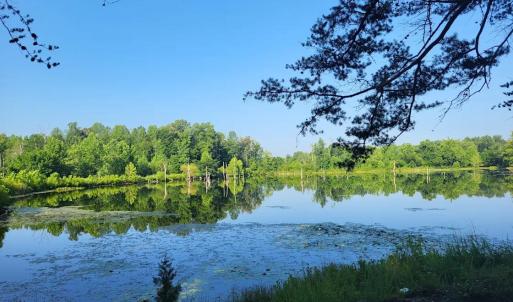 Photo #12 of 9999 Randolph Creek Road, New Canton, VA 60.0 acres