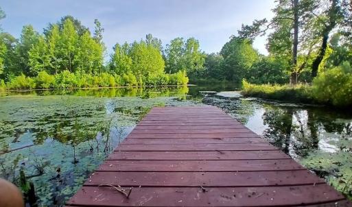 Photo #66 of 9999 Randolph Creek Road, New Canton, VA 60.0 acres