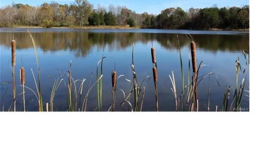 Photo #11 of 9999 Randolph Creek Road, New Canton, VA 60.0 acres