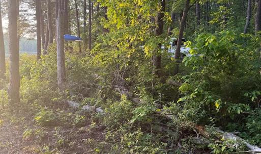 Photo #25 of 9999 Randolph Creek Road, New Canton, VA 60.0 acres