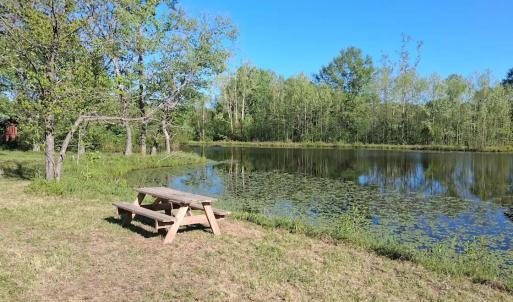 Photo #62 of 9999 Randolph Creek Road, New Canton, VA 60.0 acres