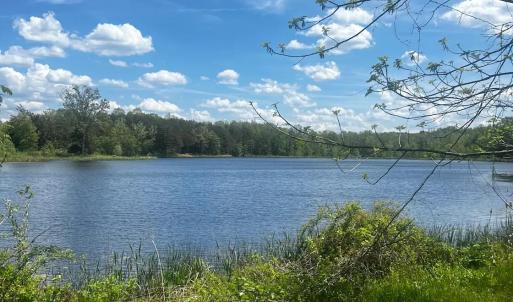 Photo #19 of 9999 Randolph Creek Road, New Canton, VA 60.0 acres