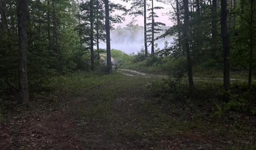 Photo #23 of 9999 Randolph Creek Road, New Canton, VA 60.0 acres