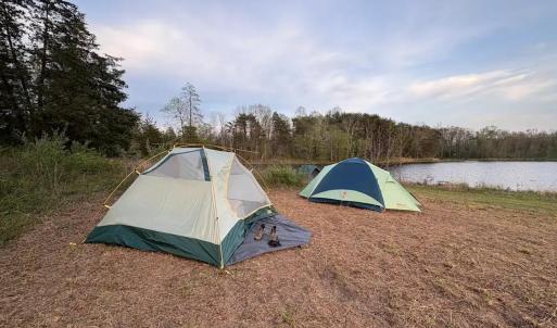 Photo #56 of 9999 Randolph Creek Road, New Canton, VA 60.0 acres