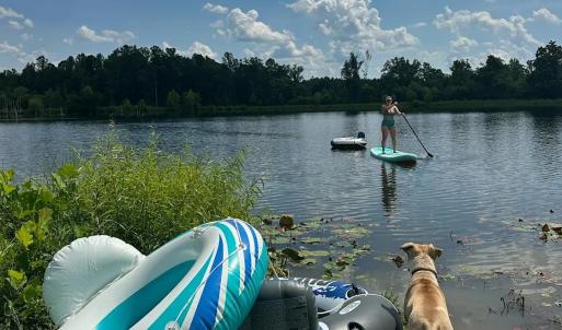 Photo #53 of 9999 Randolph Creek Road, New Canton, VA 60.0 acres