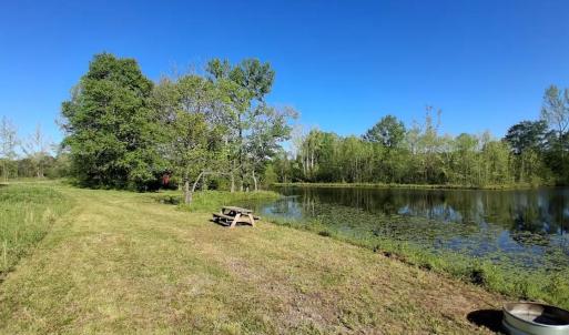 Photo #63 of 9999 Randolph Creek Road, New Canton, VA 60.0 acres