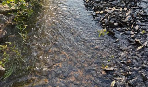 Photo #26 of 9999 Randolph Creek Road, New Canton, VA 60.0 acres