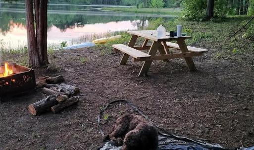 Photo #50 of 9999 Randolph Creek Road, New Canton, VA 60.0 acres