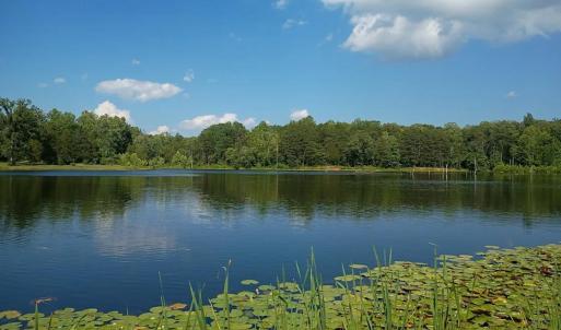 Photo #78 of 9999 Randolph Creek Road, New Canton, VA 60.0 acres