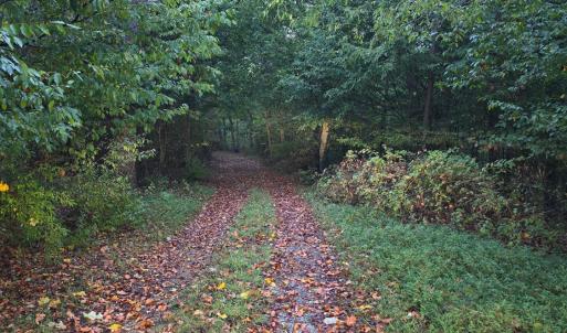 Photo #4 of Rocky Ford Road, Moneta, VA