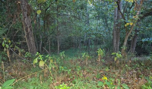 Photo #3 of Rocky Ford Road, Moneta, VA