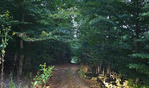 Photo #1 of Rocky Ford Road, Moneta, VA