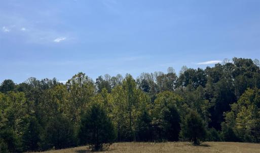 Photo #27 of Horseshoe Creek Ln, Amherst, VA 34.0 acres