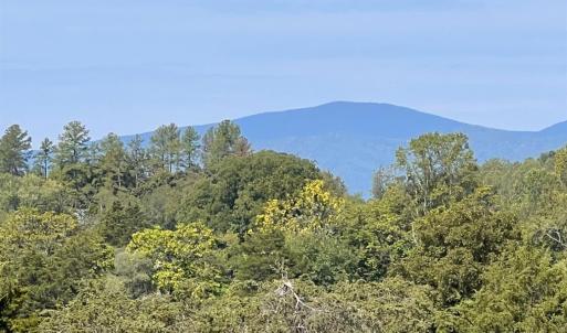 Photo #4 of Horseshoe Creek Ln, Amherst, VA 34.0 acres