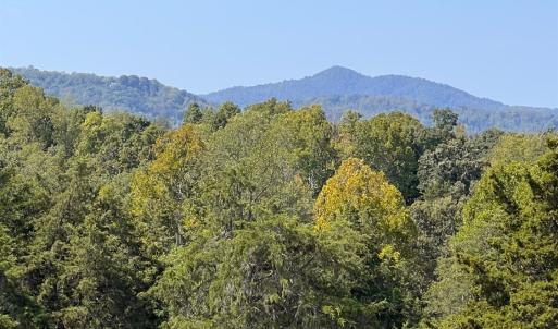 Photo #31 of Horseshoe Creek Ln, Amherst, VA 34.0 acres